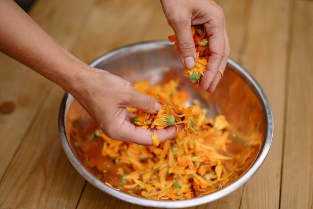 Calendulaöl: das sanfte Öl aus Ringelblumen
