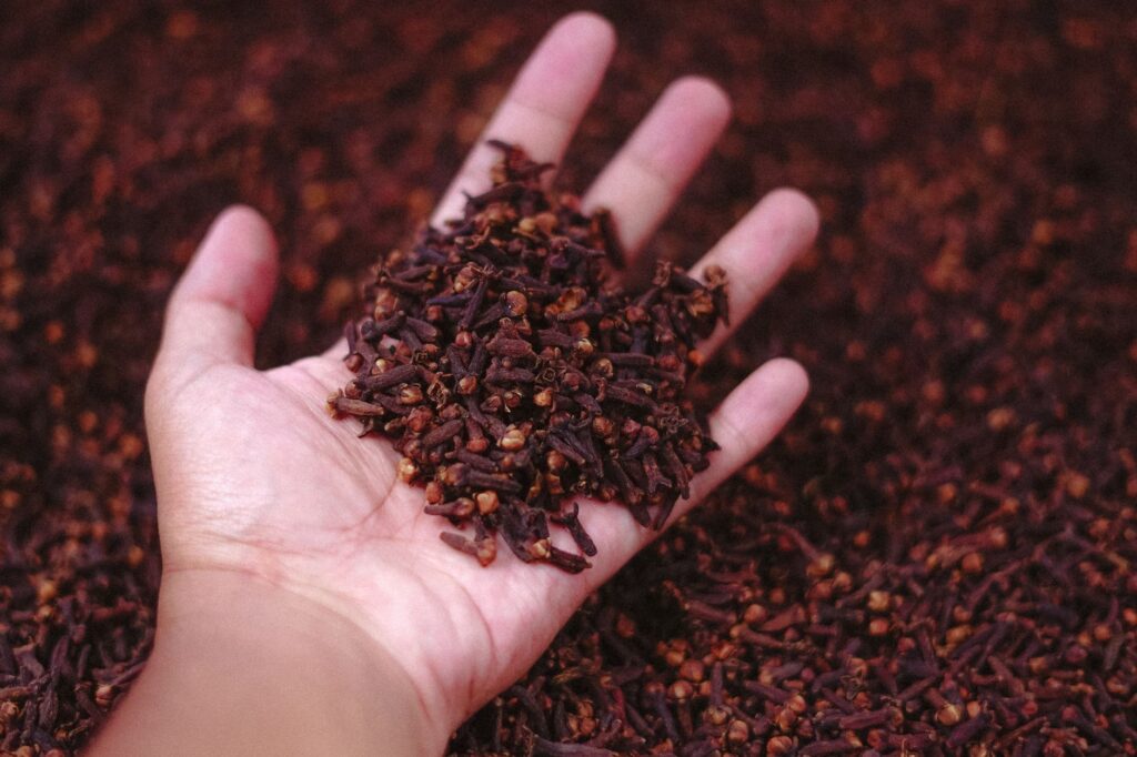 Nelkenöl: stark, würzig, mit Vorsicht zu nutzen