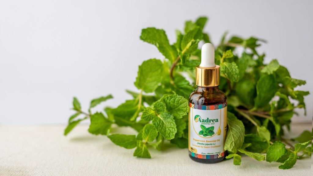 Olio di menta piperita: fresco, intenso, da dosare con attenzione