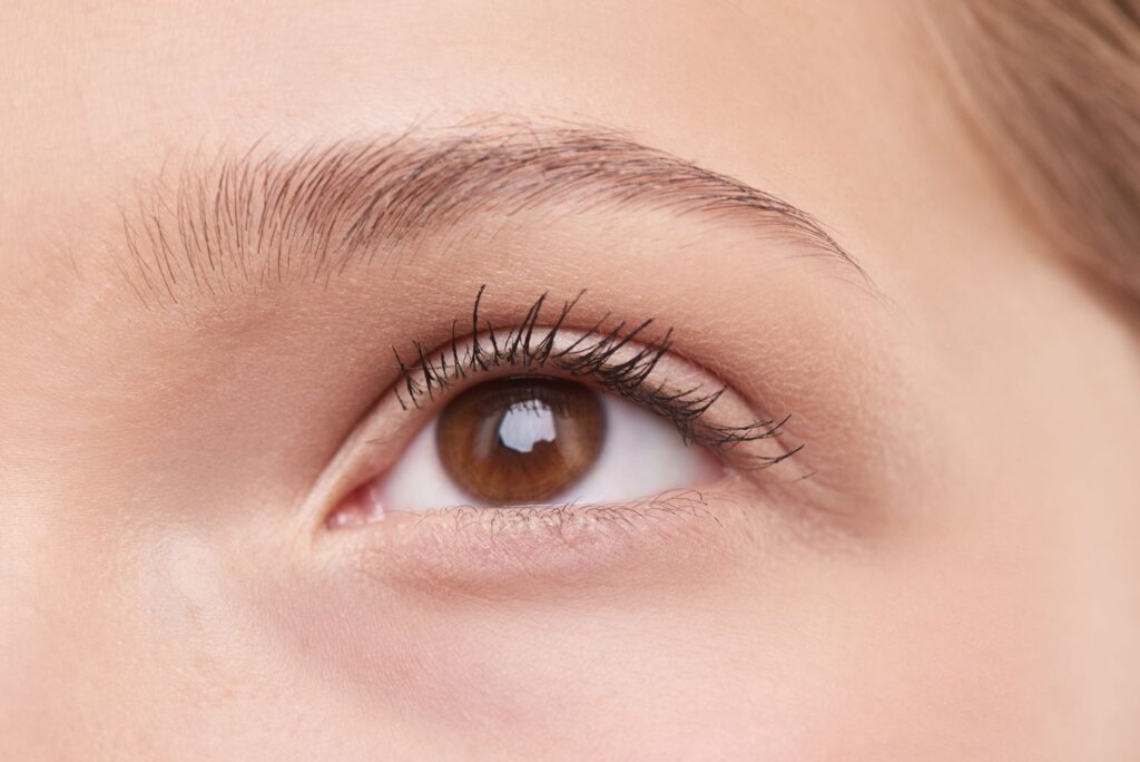 Huile de ricin pour les cils et les sourcils : ce qui est vraiment vrai